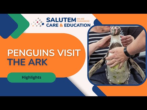 Salutem Care and Education - Penguins Visit the Ark!