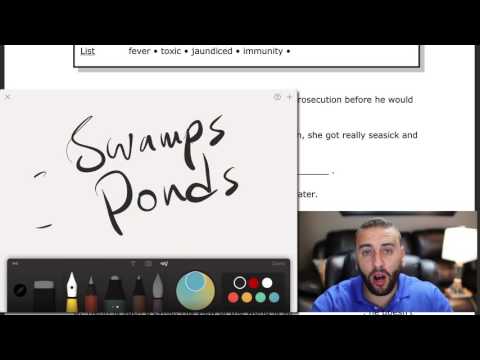 Top vocabulary for the TOEFL / IELTS 4K Part 28