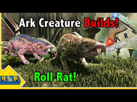 Ark Creature Builds!! || ROLL RAT Builds! || Ark Survival Evolved!