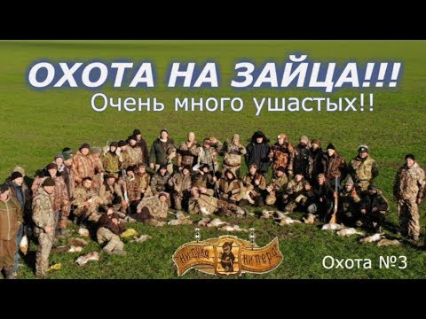 Охота на зайца!!!Коллективная охота!!!Очень много зайца!!!