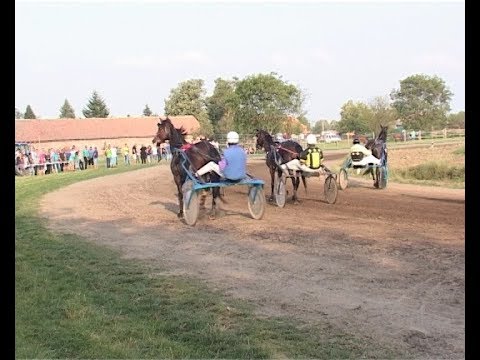 PETROVDANSKI TRKAČKI DAN - LOZOVIK 2018