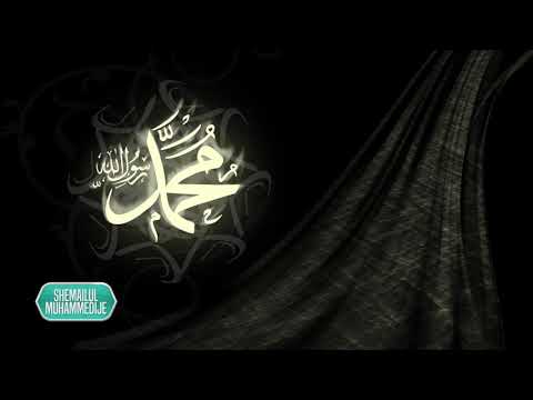 Vdekja e Resulullahit ﷺ - Derset nga "Shemailul Muhammedije" Pj.38