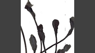 State Of Ainu: Dance