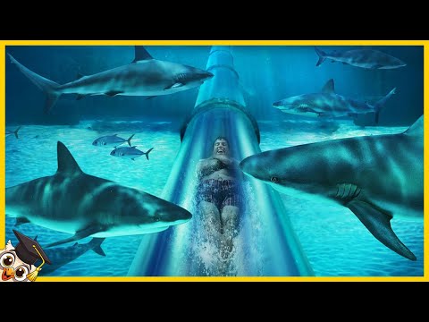 Die 10 Unglaublichsten Wasserrutschen der Welt