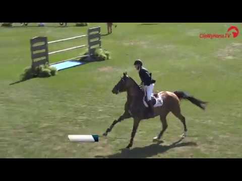 Holsteiner im Rampenlicht - ****CSI Hampton - Bardolina v. Clarimo-Landos