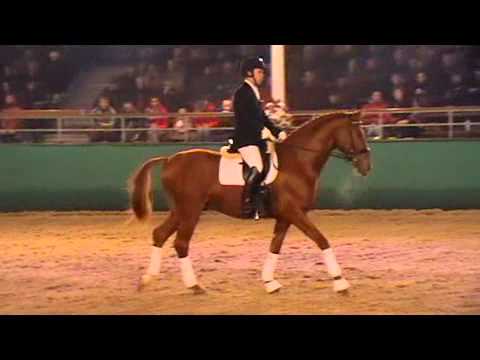 DUISENBERG -Hengstschau Münster-Handorf am 10.02.2012 -Hengststation Pape-