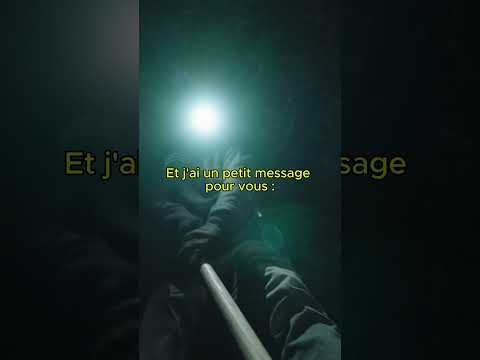 Teaser La découverte de la Chouette d'Or® 🦉