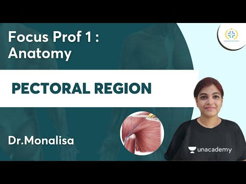 Pectoral Region | Focus Prof 1 : Anatomy | Unacademy Future Doctors l Dr.Monalisa
