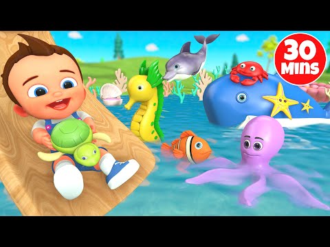 Educational Fun for Kids: Learn Aquatic Animal Names, Colors, Shapes, Numbers & Fruits with Puzzles!