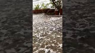 ACID RAIN Experiment! 😱⛈️