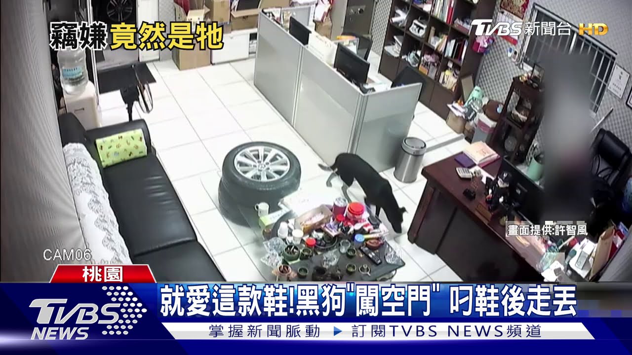 就愛這款鞋!黑狗「闖空門」 叼鞋後走丟