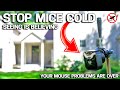 EASY WAY to Get Rid of Mice in Your House FOREVER - No More Mousetraps!