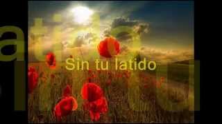 Sin tu latido    Luis Eduardo Aute