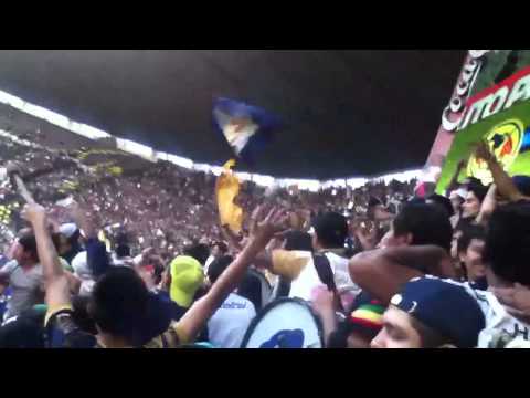 "La rebel festeja gol de ludueña america vs pumas 22 de febrero 2014" Barra: La Rebel &bull; Club: Pumas