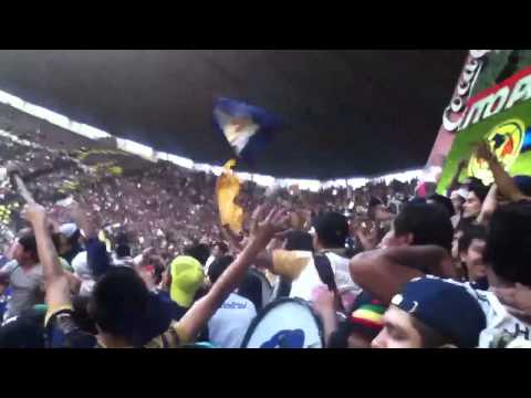 "La rebel festeja gol de ludueña america vs pumas 22 de febrero 2014" Barra: La Rebel • Club: Pumas