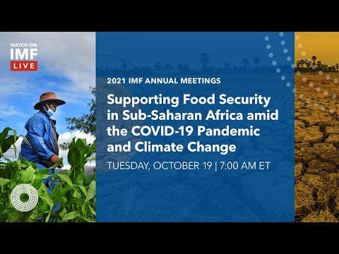 Frontier Africa Reports