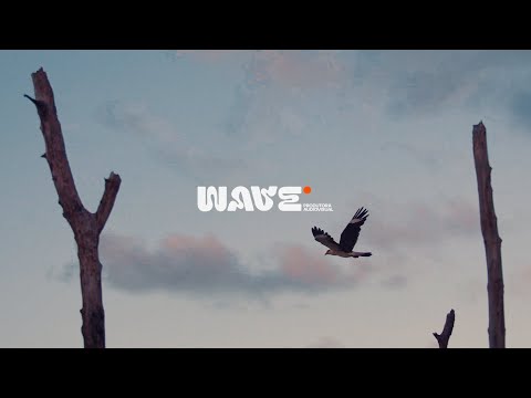 SOMOS A WAVE PRODUTORA - DE SALINÓPOLIS PARA O MUNDO