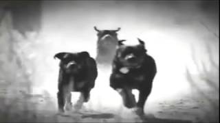 Snoop Dogg   My Heat Goes Boom Explicit1