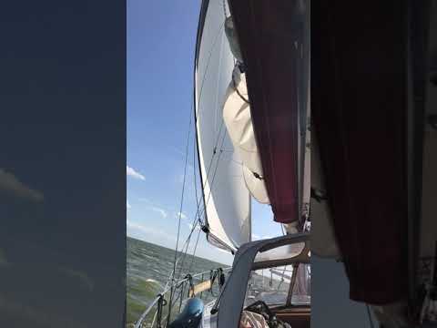 Sail-Smart Lazy Foresail