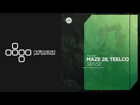 PREMIERE: Maze 28 & TEELCO - Sense [Movement Recordings]