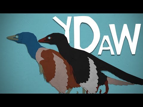 Archaeopteryx: Your Dinosaurs Are Wrong #21