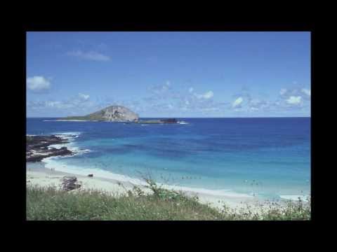 The Waikikis - I'll Remember You