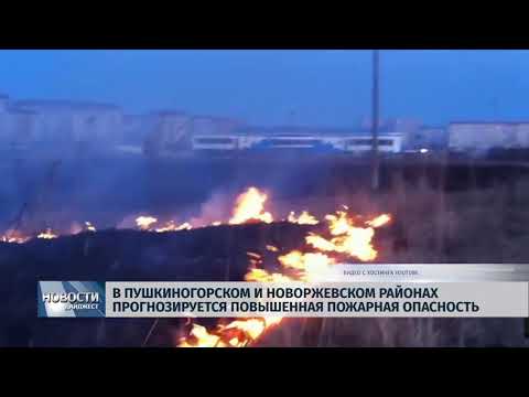 Новости Псков 25.05.2018 # В Пушкиногорском и Новоржевском районах прогнозируется пожароопасность 