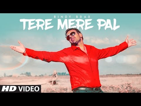Tere Mere Pal