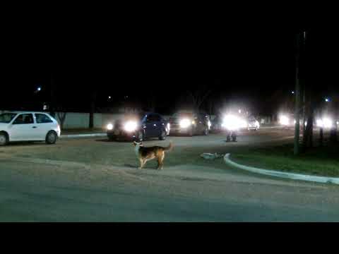 RECIBIMIENTO EN SPELUZZI AL EQUIPO CAMPEÓN PROVINCIAL