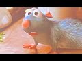 Never Pause Ratatouille