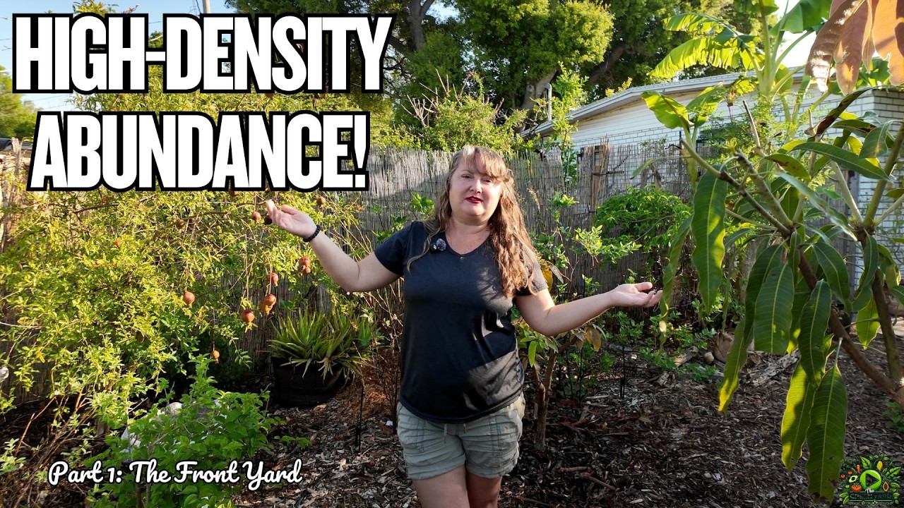 A Front Yard Tropical Food Forest in Tampa