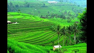 Download lagu Campur sari wes hewes ewes original musik mp3 Download lagu Campur sari wes hewes ewes original musik mp3