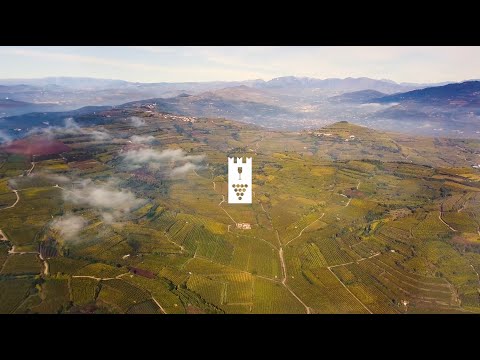 Presentazione video "Soave Terroir"