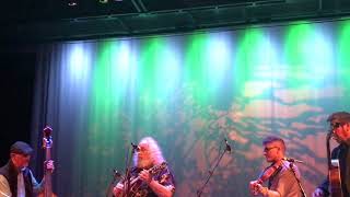 Shady Grove - David Grisman Quintet