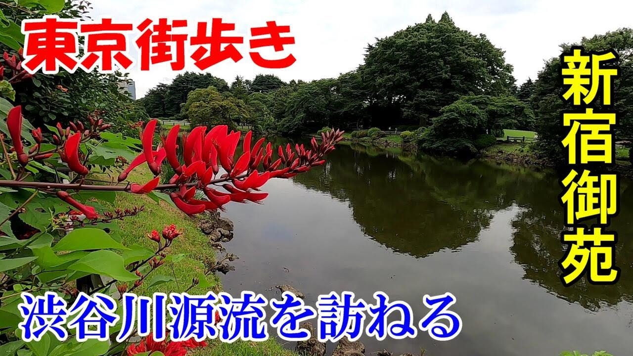 東京街歩き　新宿御苑の奥の奥、渋谷川源流へ
