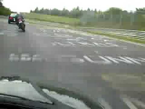 RT 2008 Ralvieh hinter Andy V8