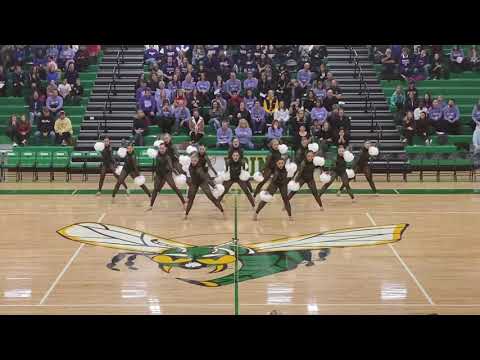 University of Minnesota Dance Team Pom 2020