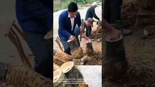 Hidden Art: Watch Them Carve RAW Bamboo Roots Into Breathtaking Masterpieces! 🎋🤯