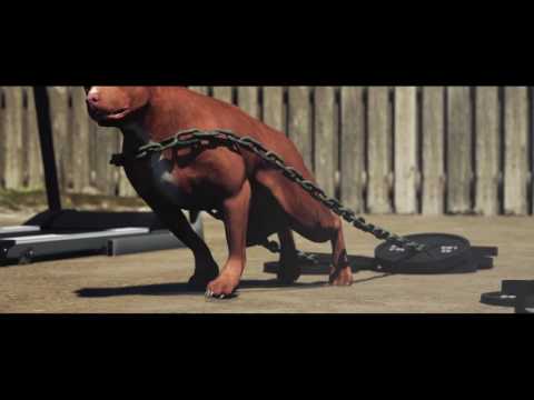 trailer