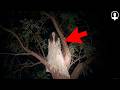 EXTREME HORROR Videos That Won T Let You SLEEP 2026 PARANORMAL Fear 16