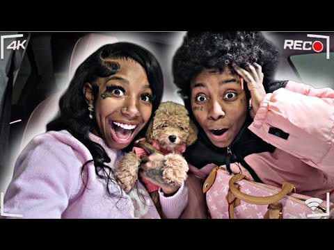 MEET OUR NEW PUPPY 🐶 ❤️