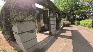 春の横浜・花散歩　散歩コースを紹介