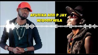 Download lagu Afunika Ft. P Jay – Wibomfwila mp3