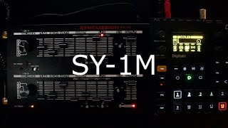 Video thumbnail for Syncussion SY-1M | First Jam by Matthew Y