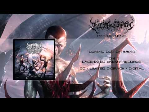 INFECTING THE SWARM - Cellular Shifting / LACERATED ENEMY records 2014