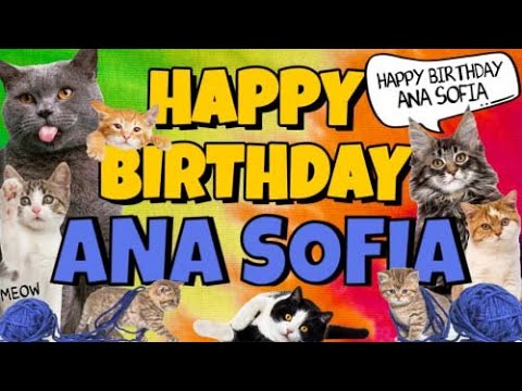 Happy Birthday Ana Sofia! Crazy Cats Say Happy Birthday Ana Sofia (Very Funny)