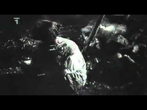 Jan Chaloupka Silnice Šedivá  Film   Řeka