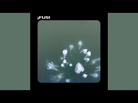 ¡Fus! - Sabor a cobre (Audio oficial)