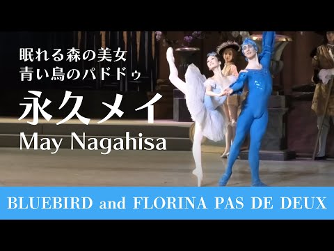 【天才バレリーナ】永久メイ　青い鳥とフロリナ王女のパドドゥ| Bluebird and Florina  Pas de Deux