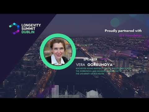 Translating Insights from Long-Lived Species – Vera Gorbunova at Longevity Summit Dublin 2023